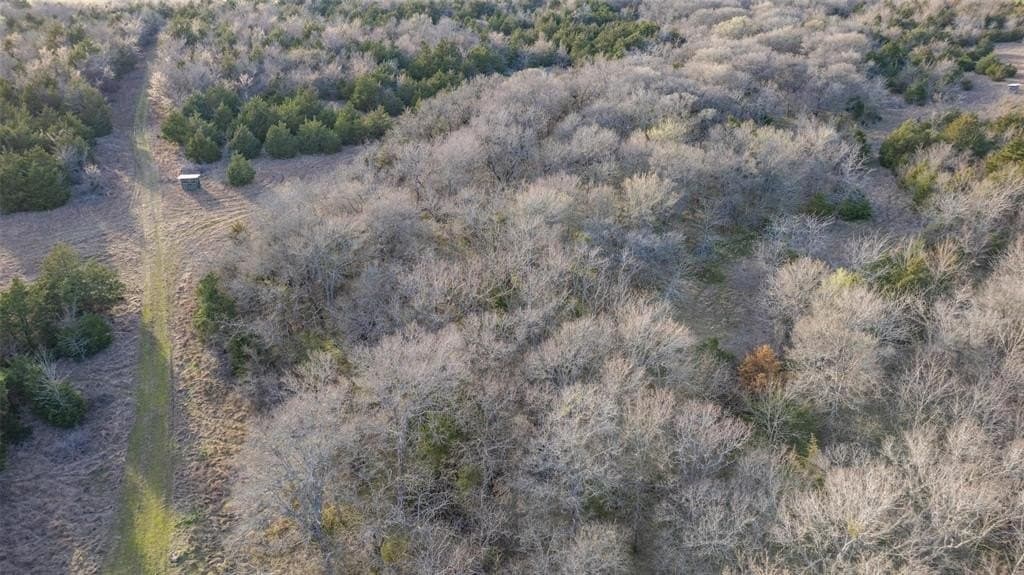 46.04 acres in Hunt County - photo 17