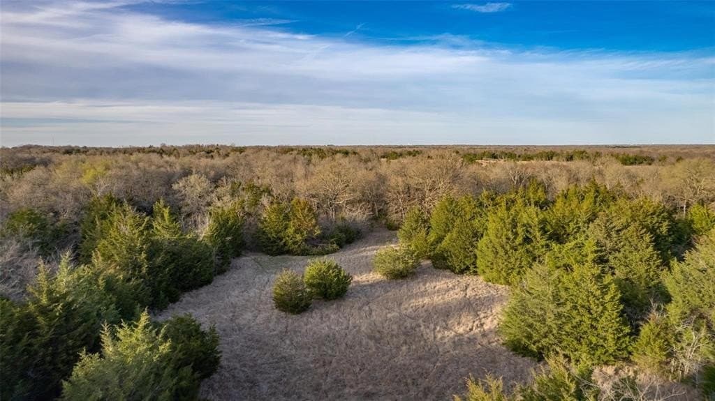 46.04 acres in Hunt County - photo 14