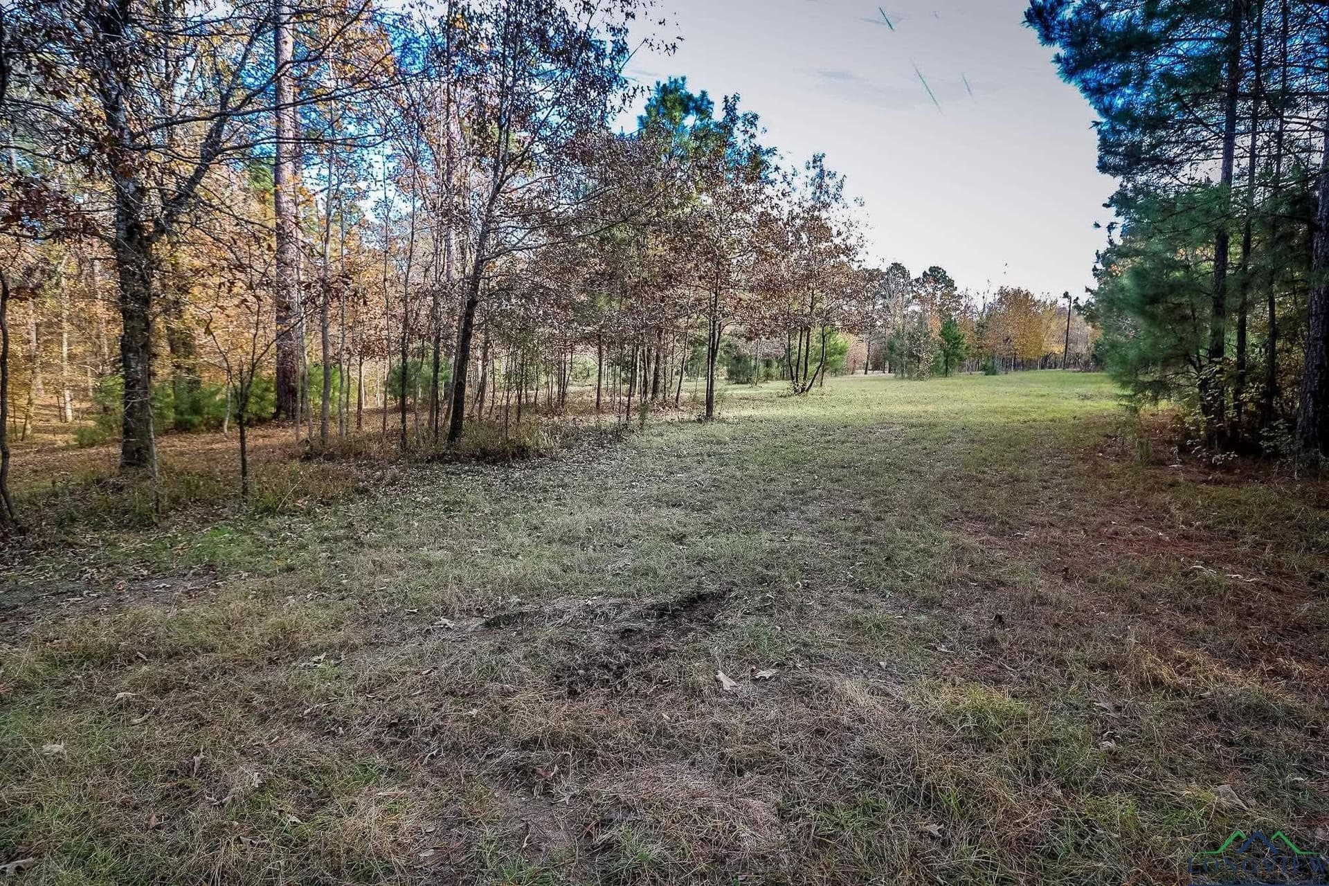 28 acres in Marion County - photo 19
