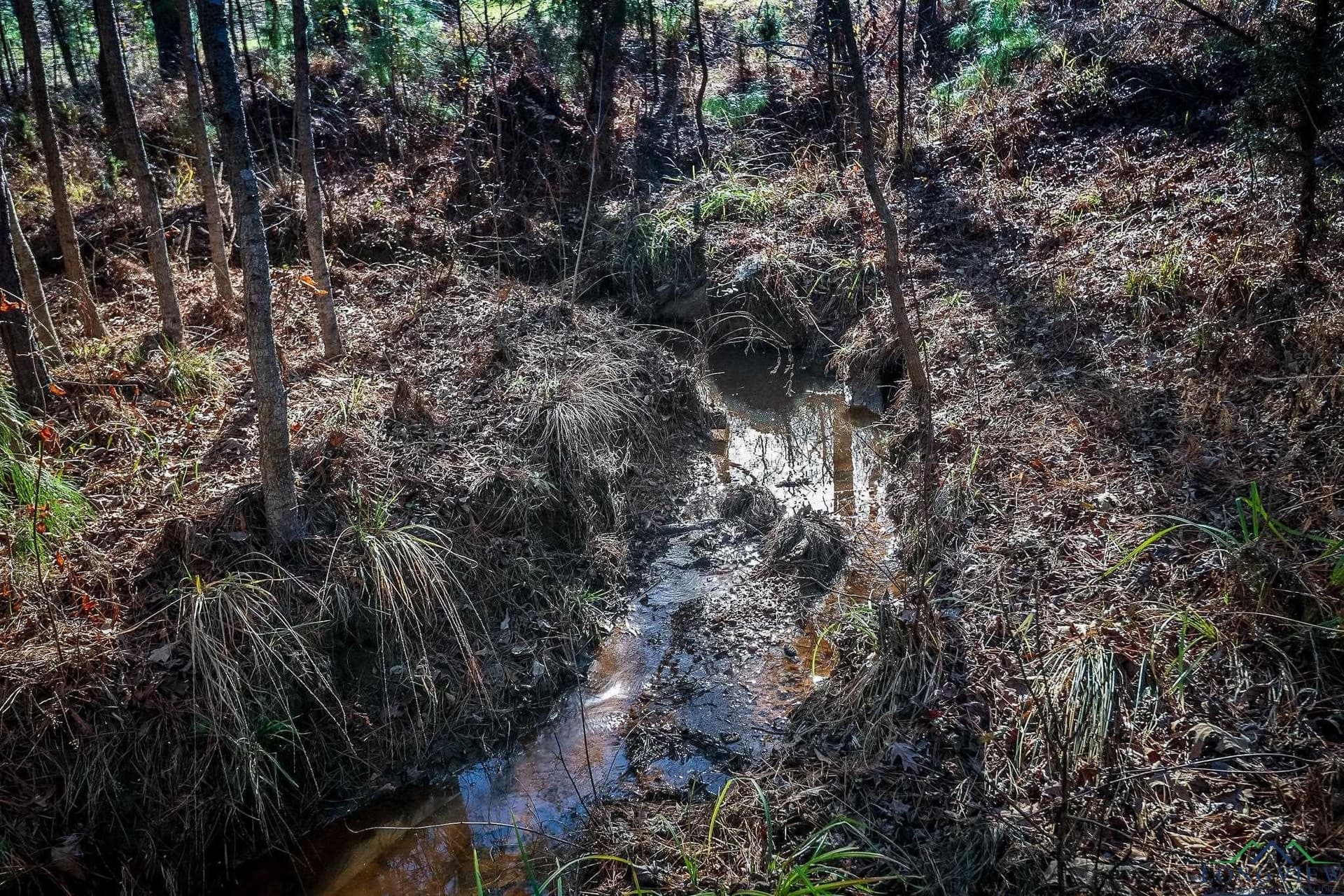 28 acres in Marion County - photo 30