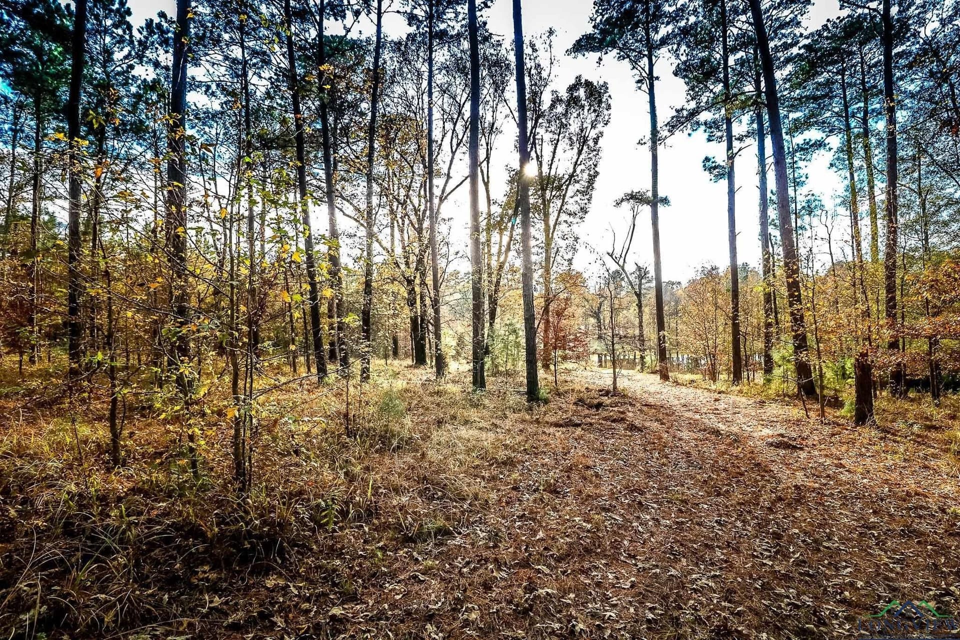 28 acres in Marion County - photo 22