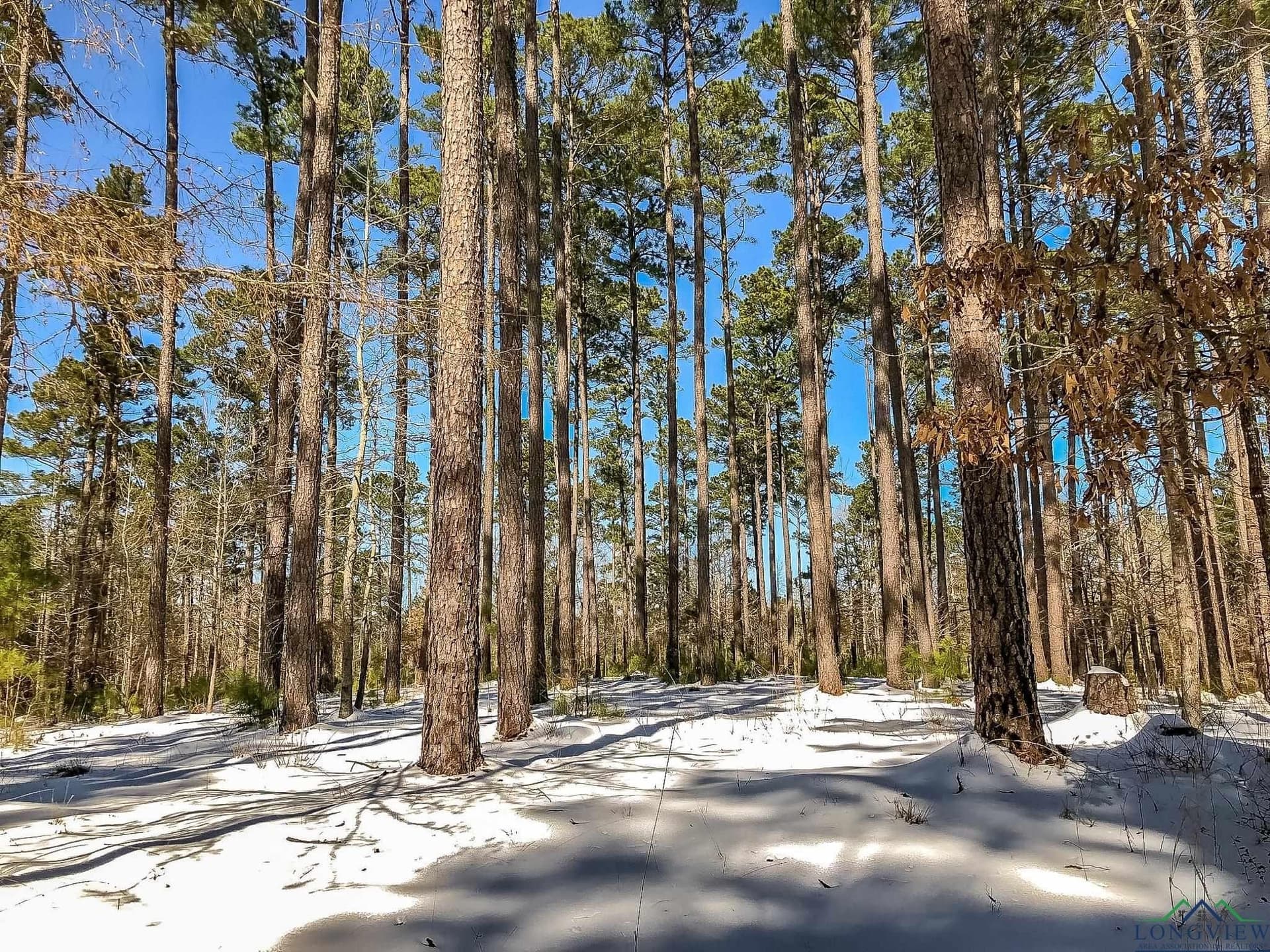 28 acres in Marion County - photo 2