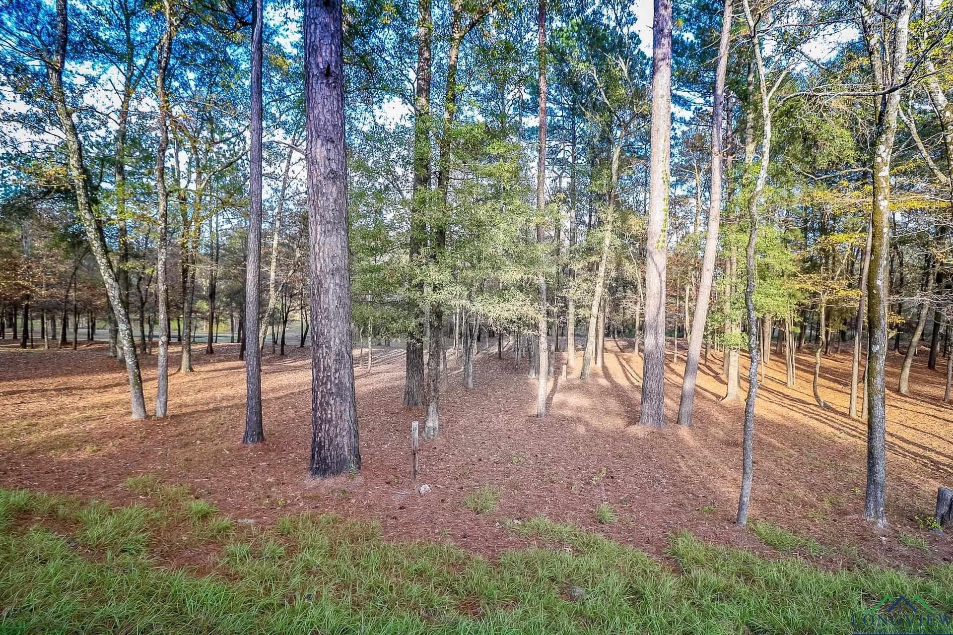 28 acres in Marion County - photo 23