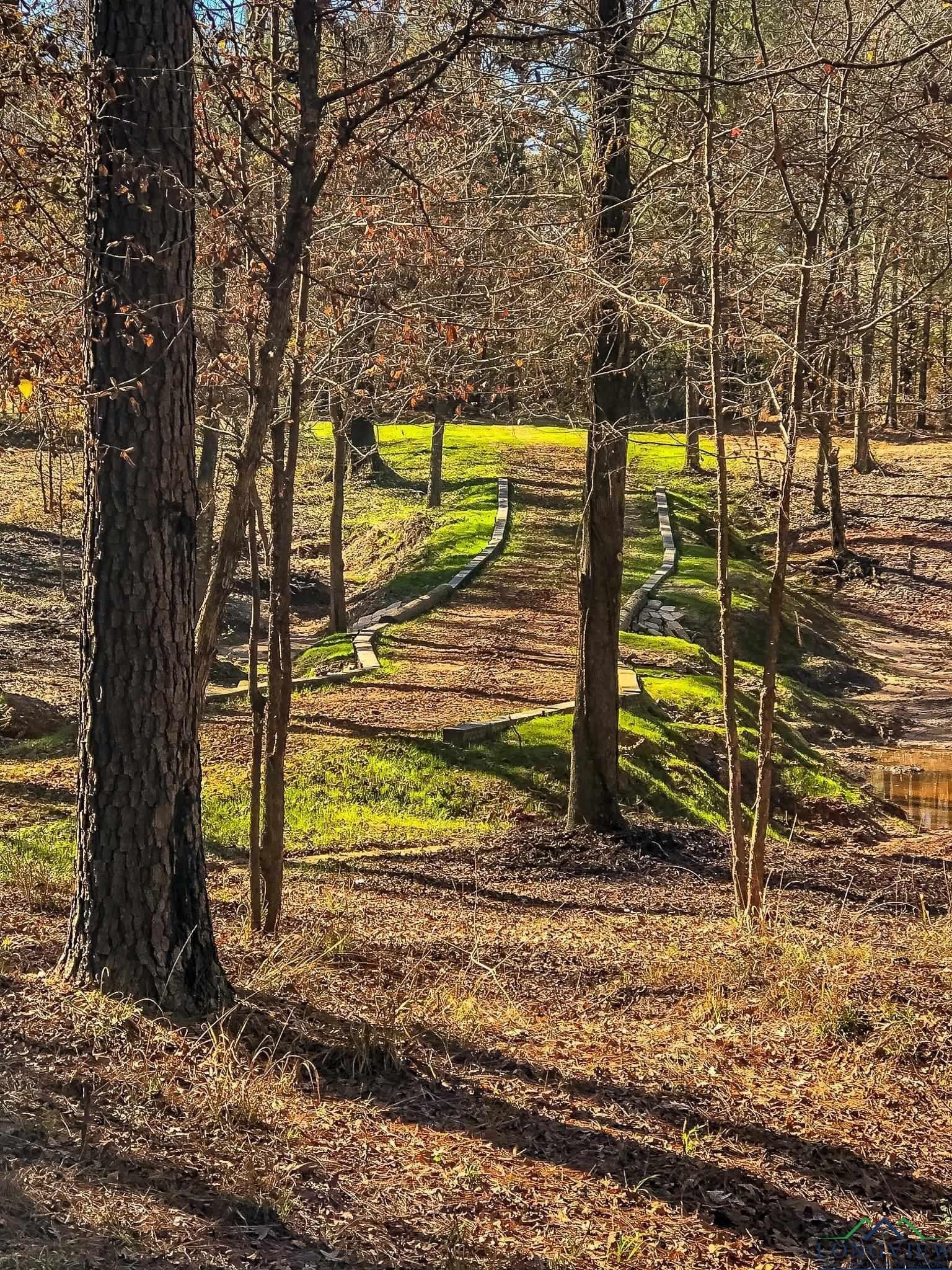 28 acres in Marion County - photo 3