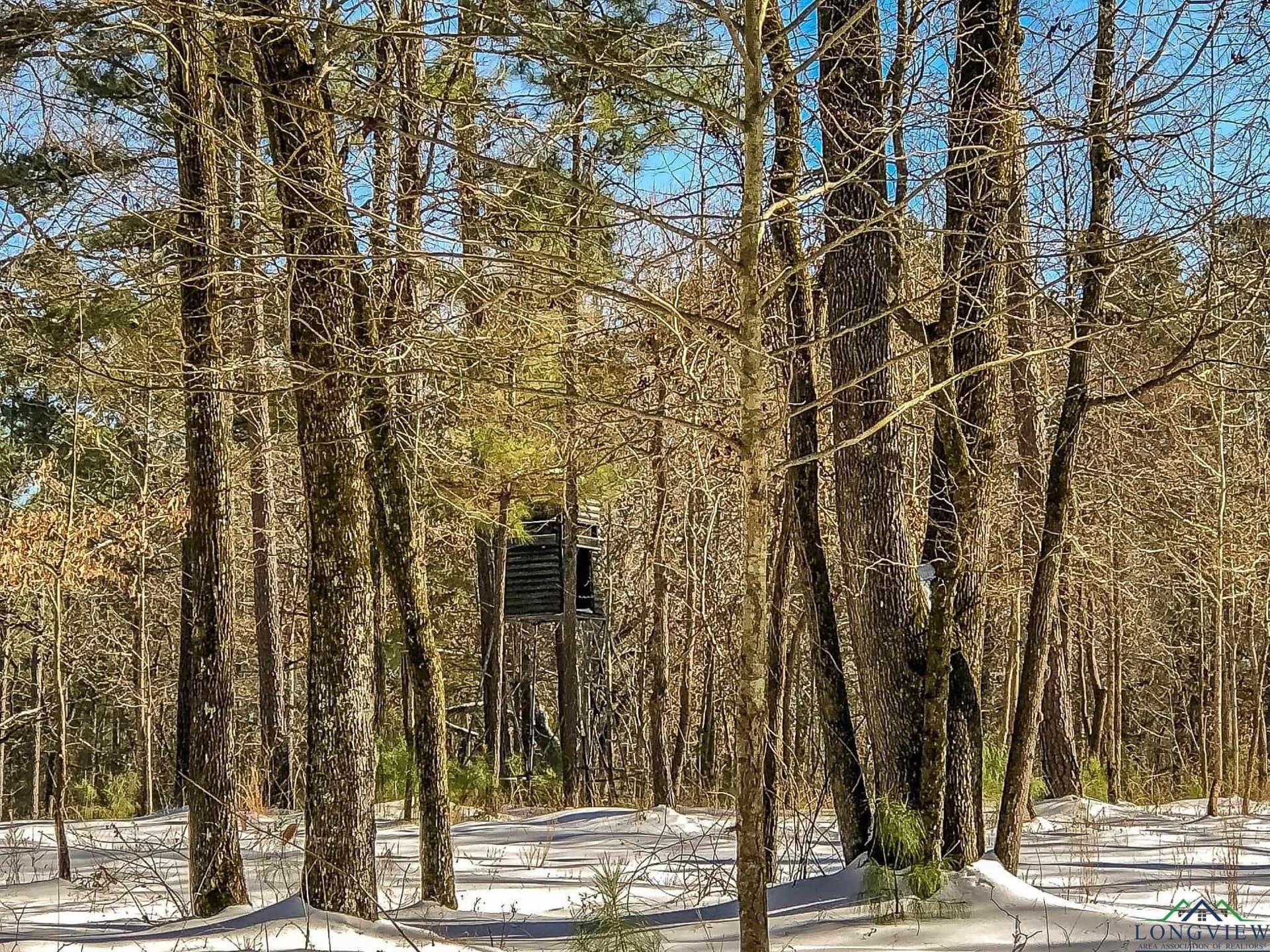 28 acres in Marion County - photo 12