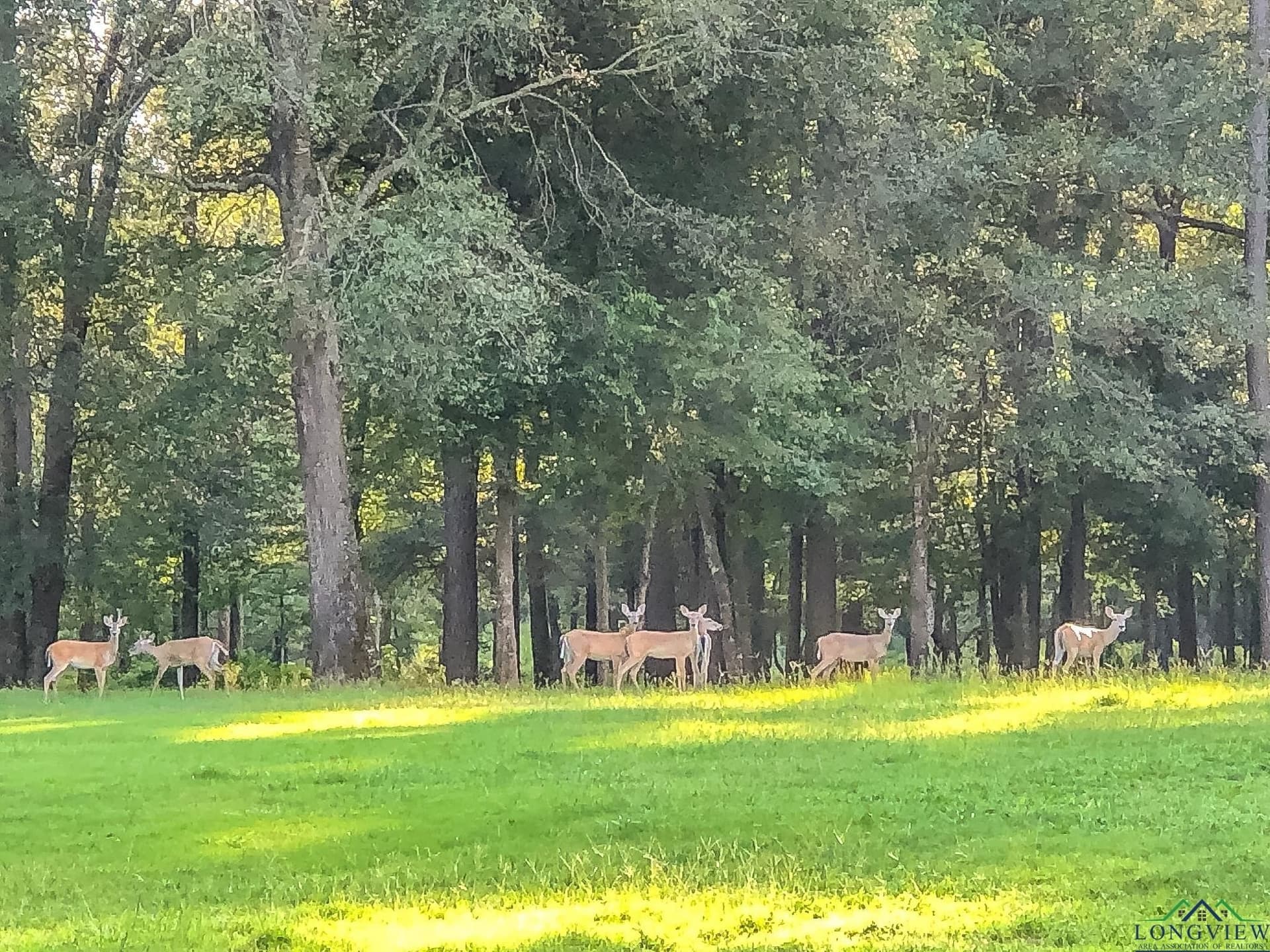 28 acres in Marion County - photo 16