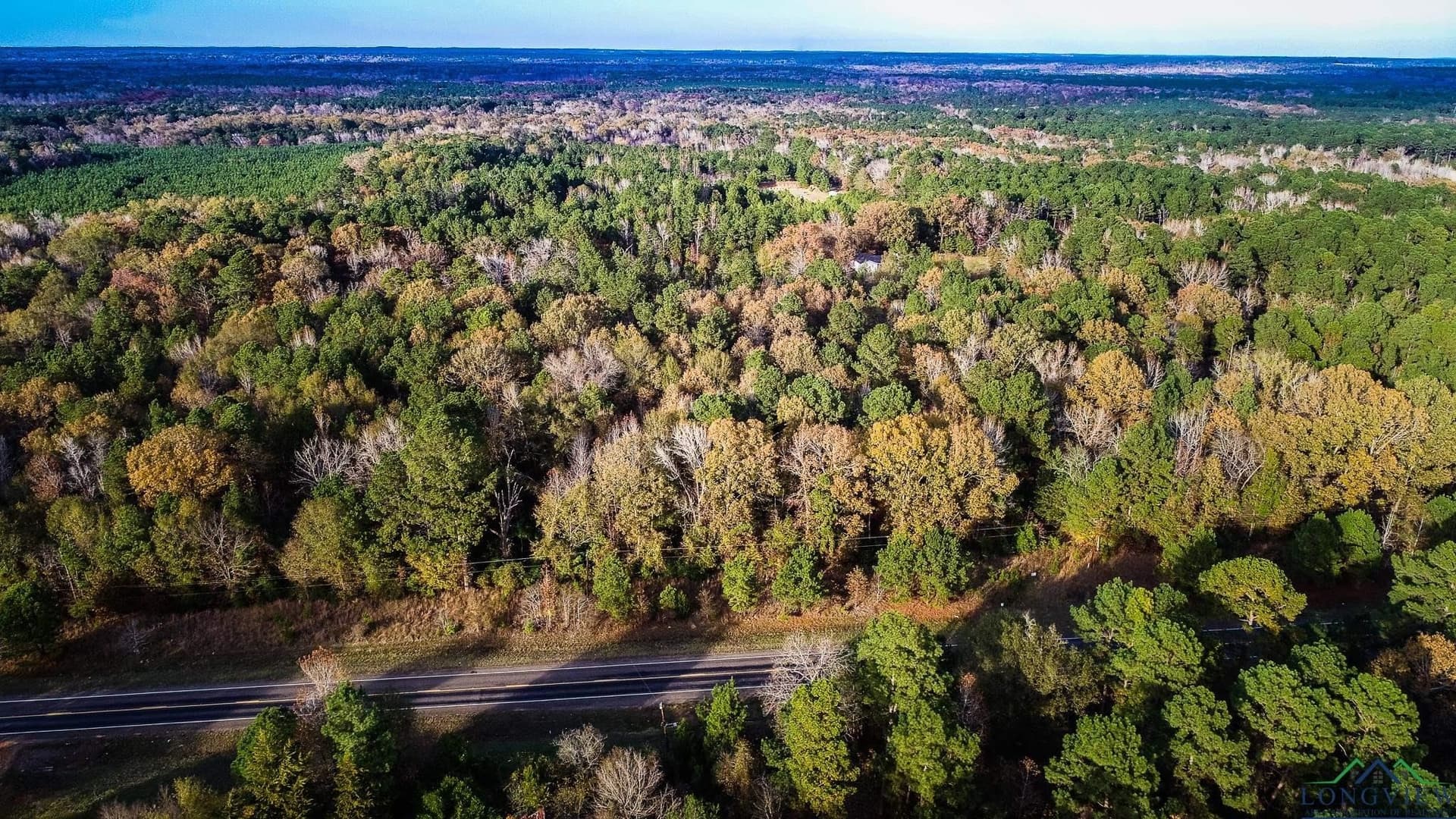 28 acres in Marion County - photo 5