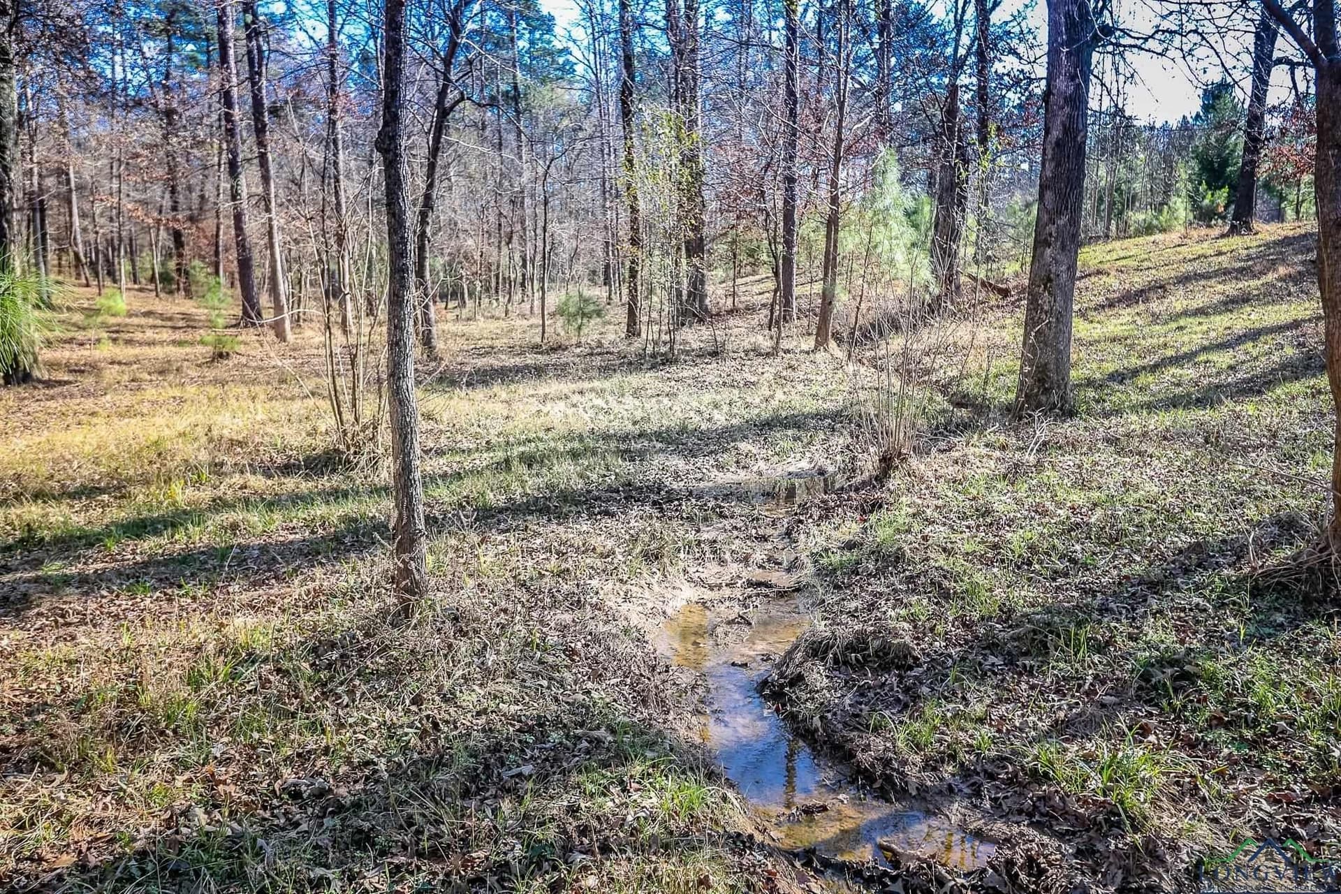 28 acres in Marion County - photo 29