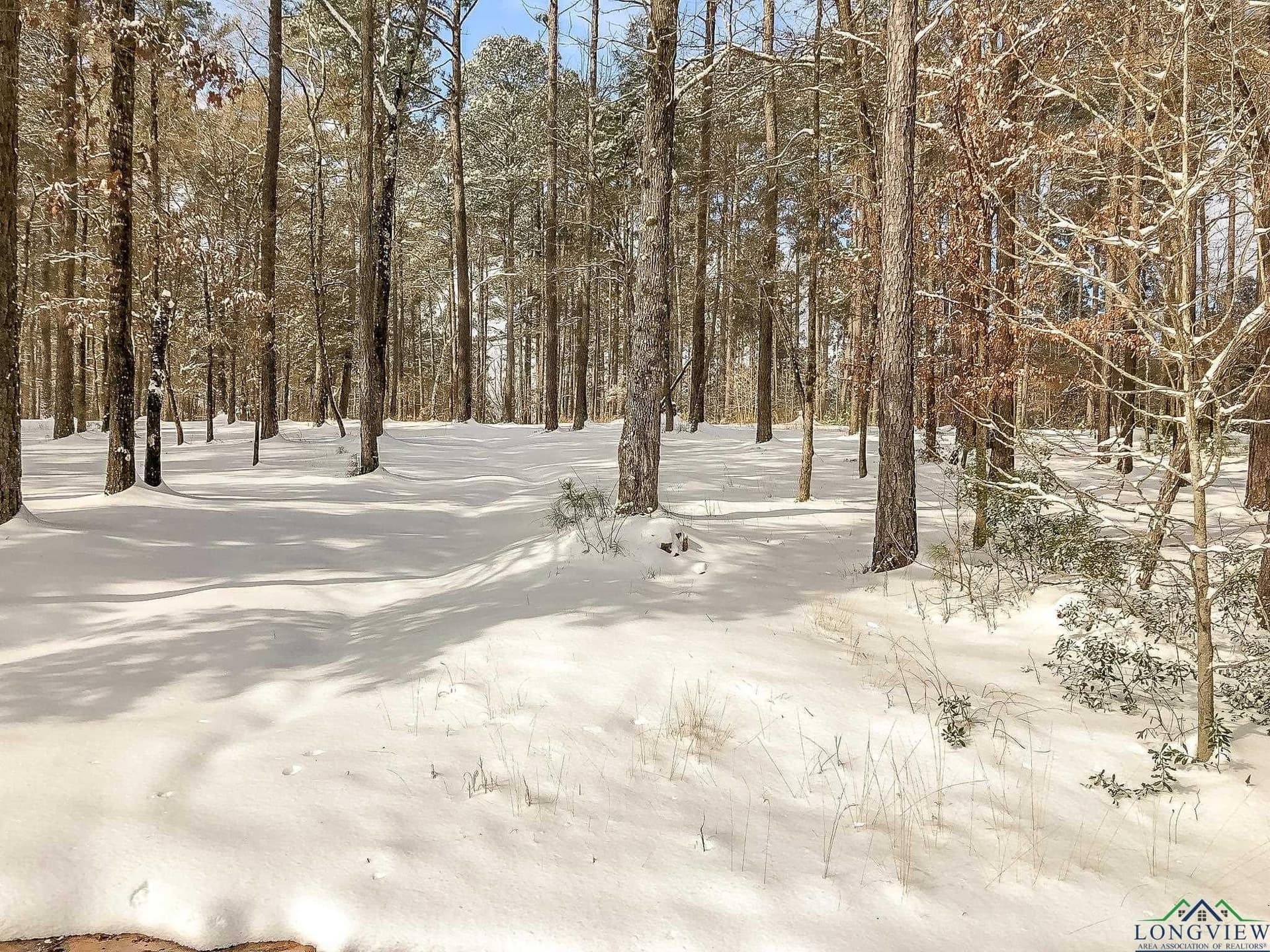28 acres in Marion County - photo 10