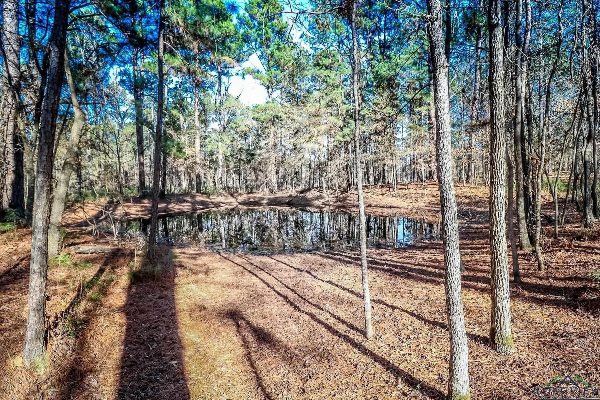 28 acres in Marion County - photo 21