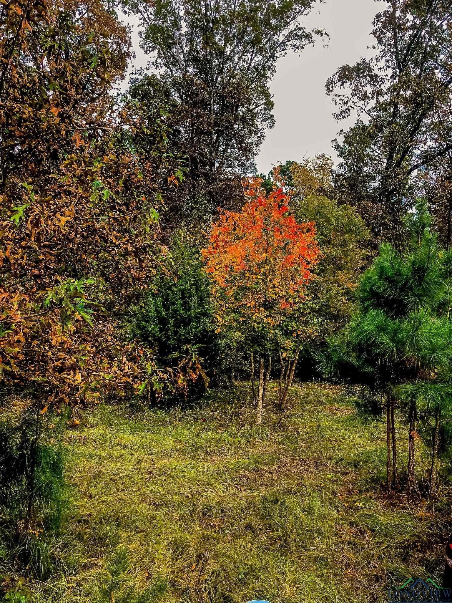 28 acres in Marion County - photo 6