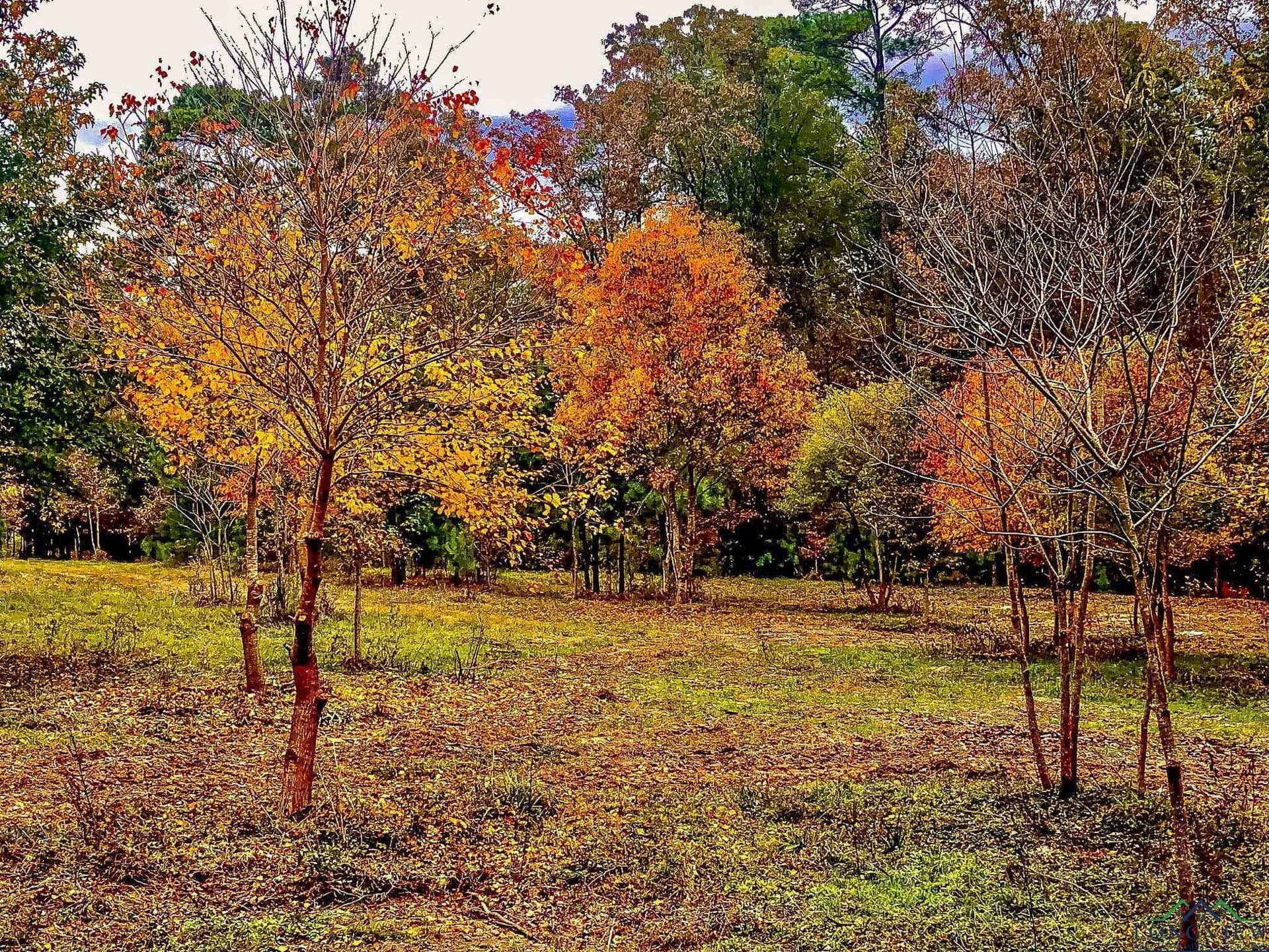 28 acres in Marion County - photo 7
