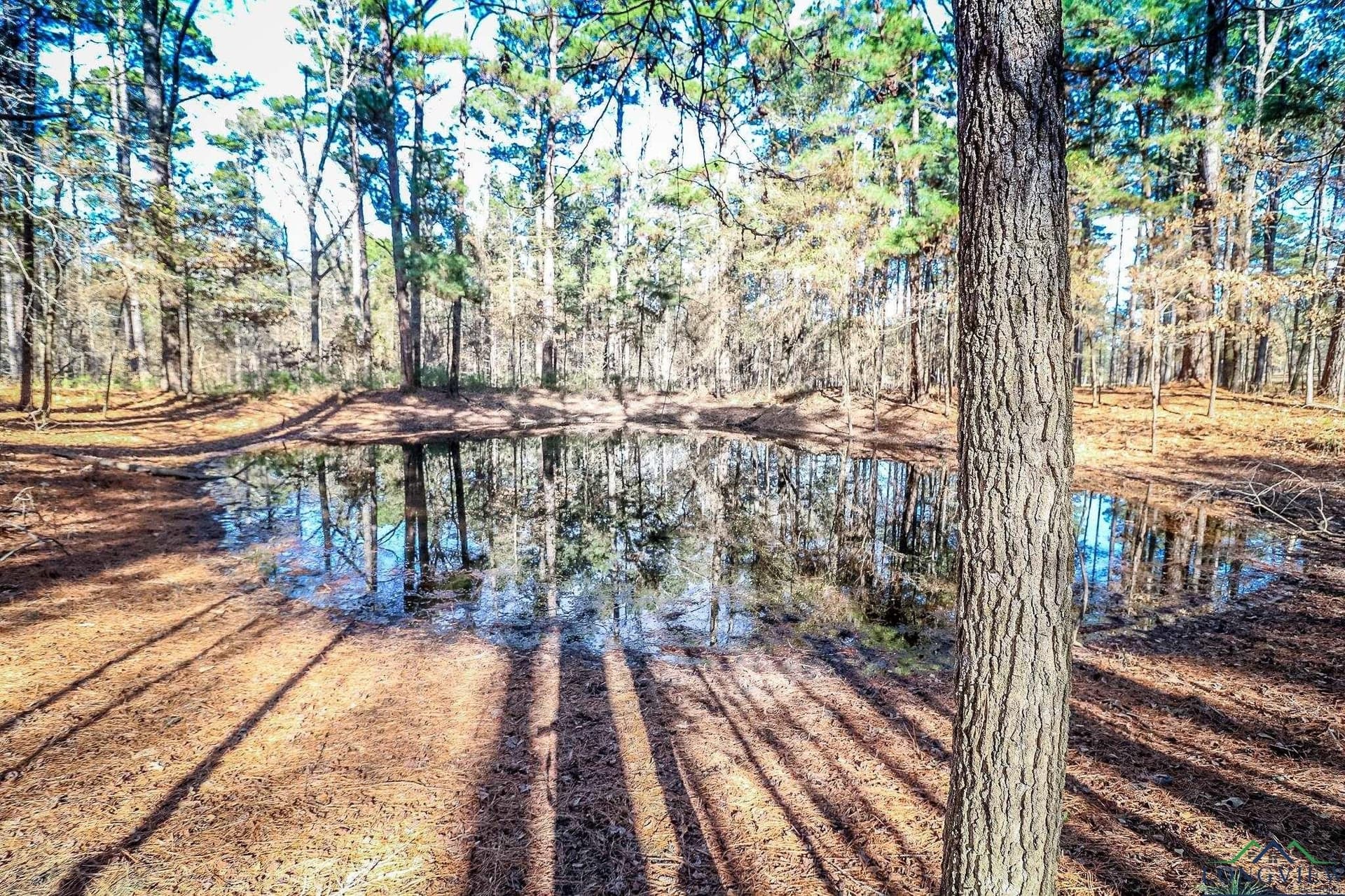 28 acres in Marion County - photo 20