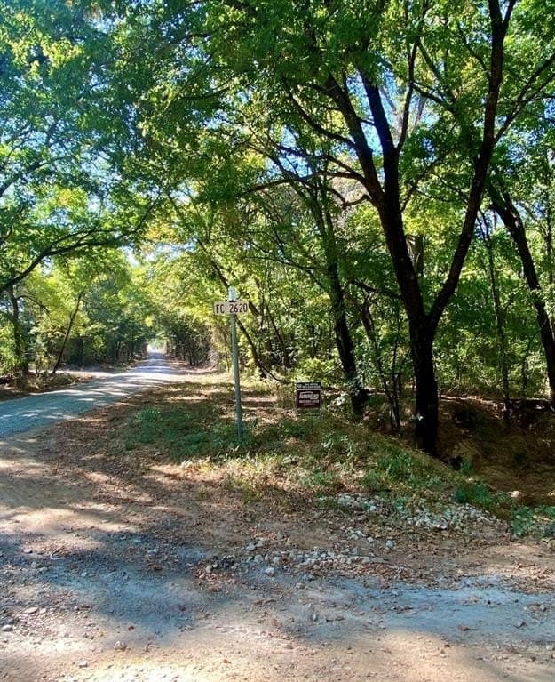 20.08 acres in Fannin County - photo 3