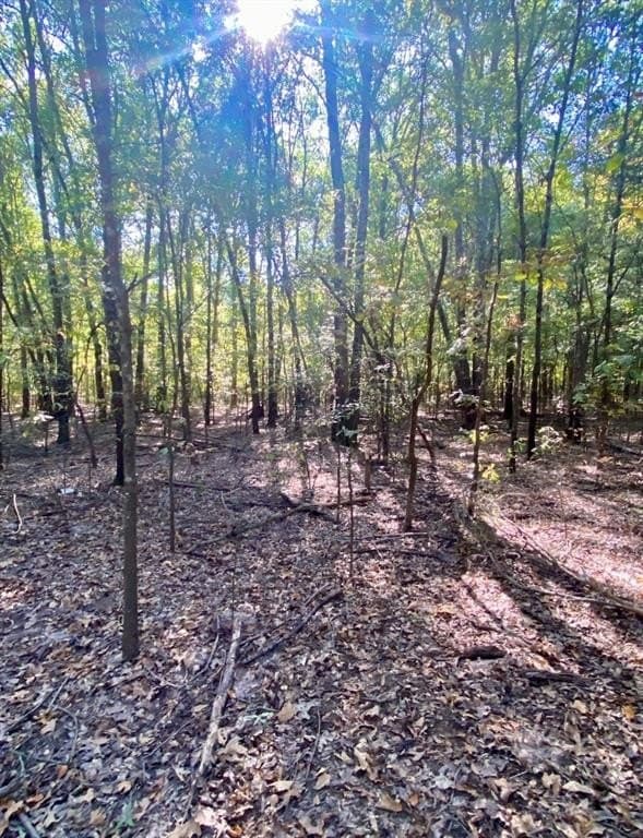 20.08 acres in Fannin County - photo 7