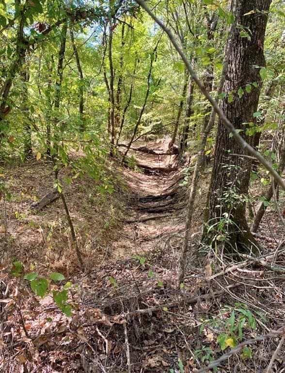 20.08 acres in Fannin County - photo 2
