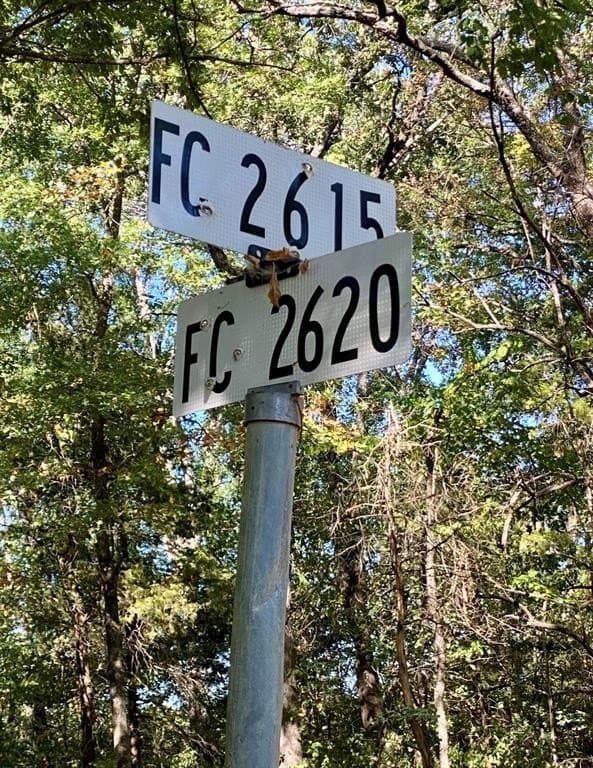 20.08 acres in Fannin County - photo 8