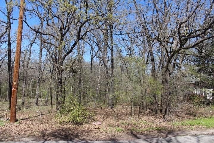 0.12 acres in Henderson County - photo 2