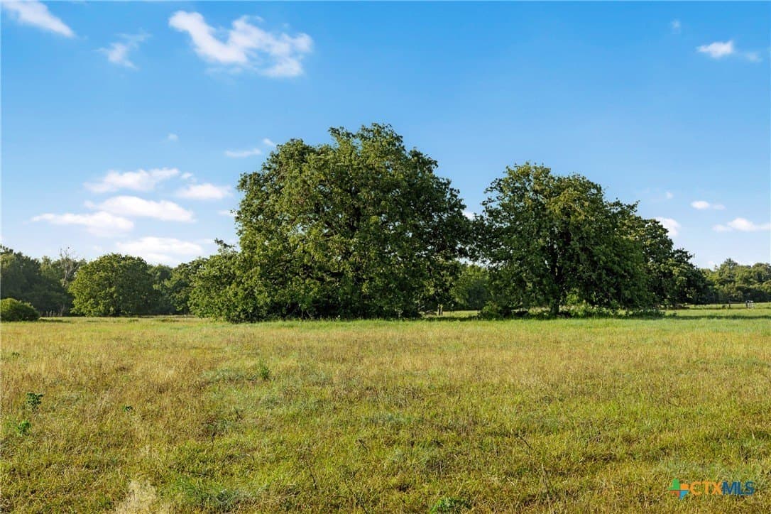204.4 acres in Robertson County - photo 20