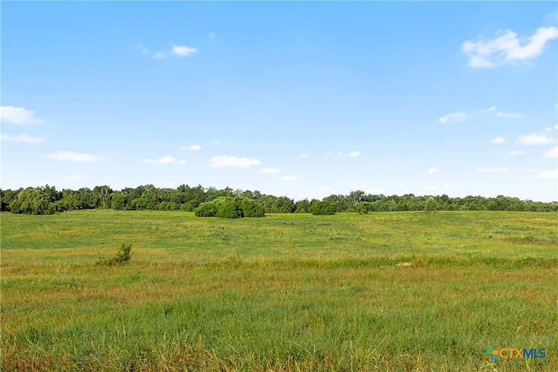 204.4 acres in Robertson County - photo 12