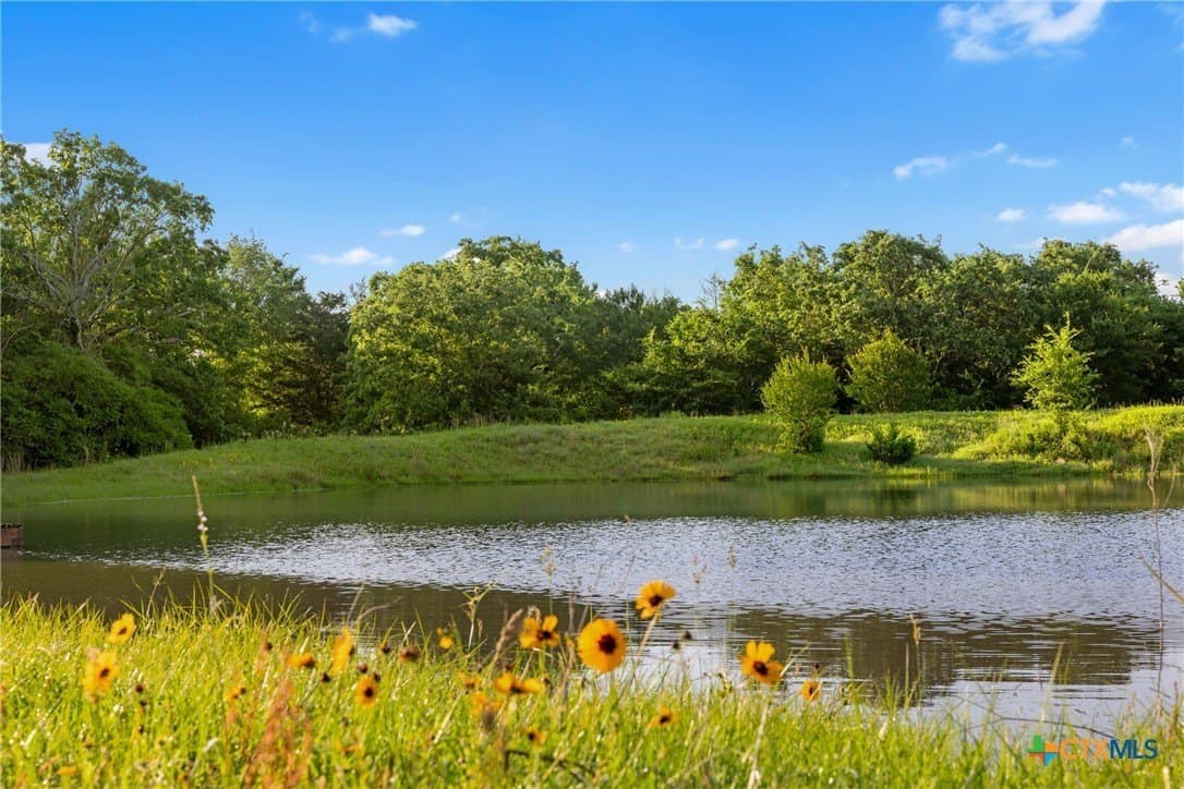 204.4 acres in Robertson County - photo 4