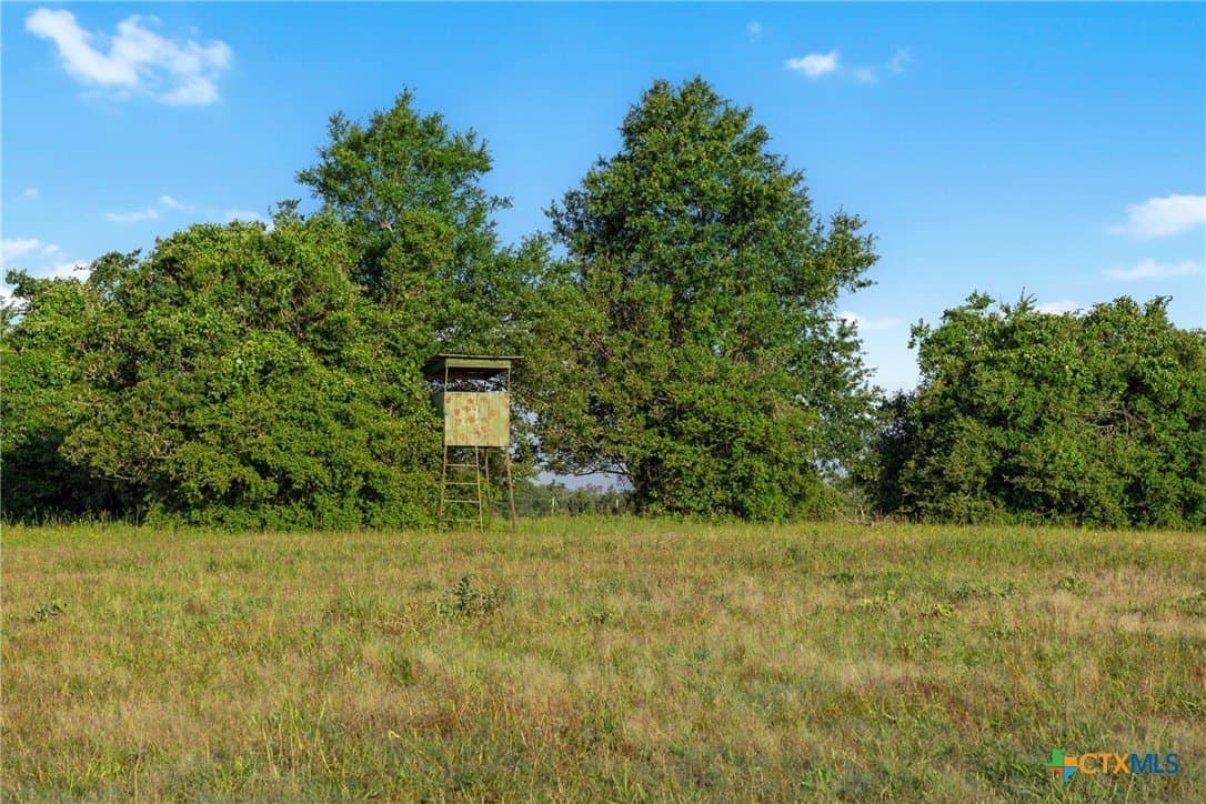 204.4 acres in Robertson County - photo 7