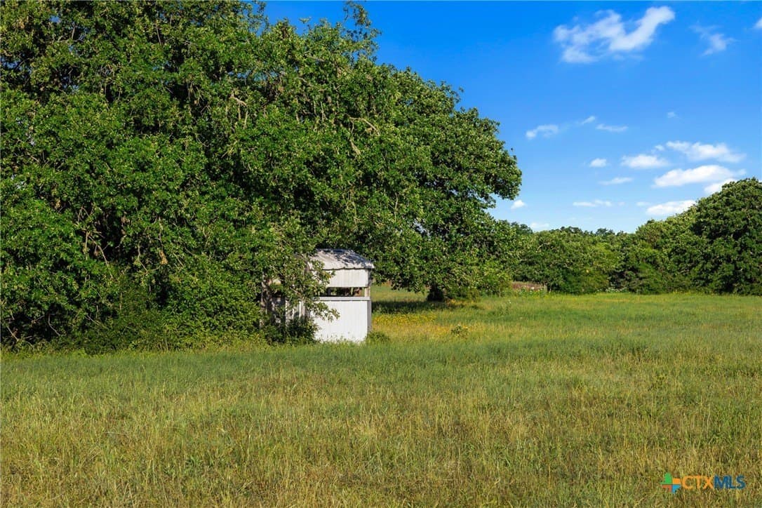 204.4 acres in Robertson County - photo 17