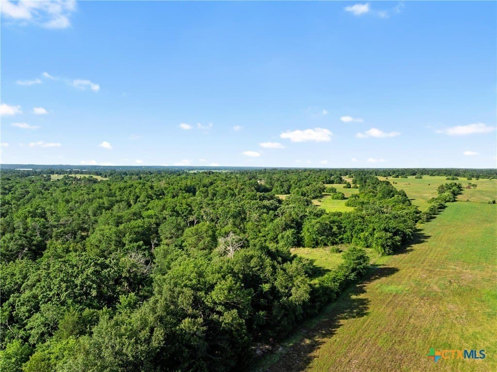 204.4 acres in Robertson County - photo 33