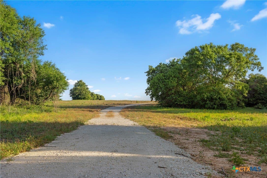 204.4 acres in Robertson County - photo 2