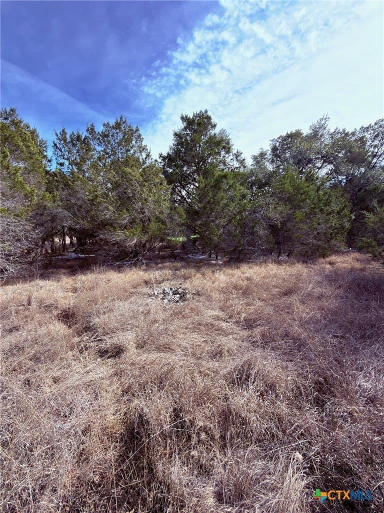 1.22 acres in Comal County - photo 7