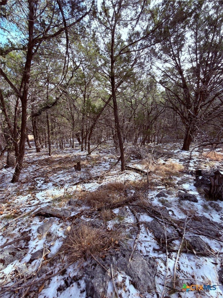1.22 acres in Comal County - photo 3