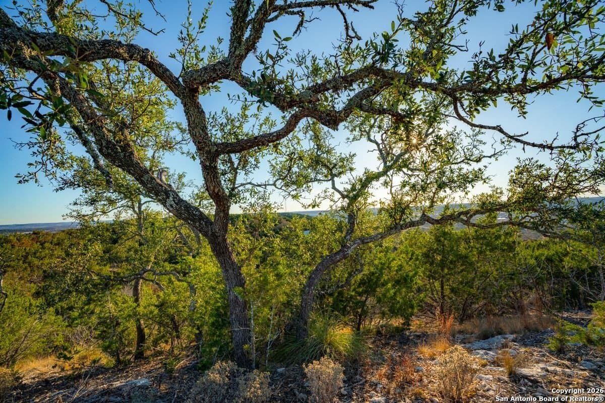 24 acres in Kerr County - photo 20