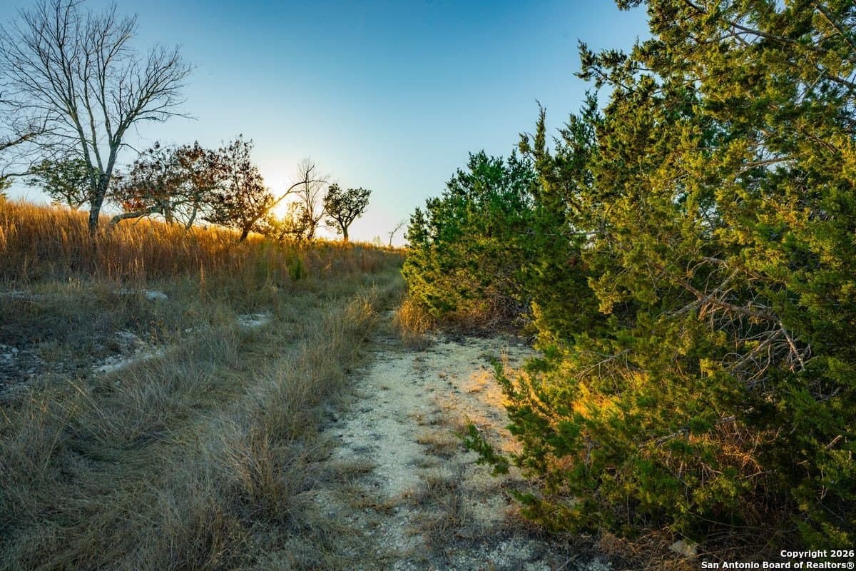 24 acres in Kerr County - photo 7