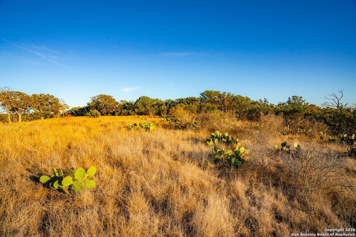 24 acres in Kerr County - photo 21