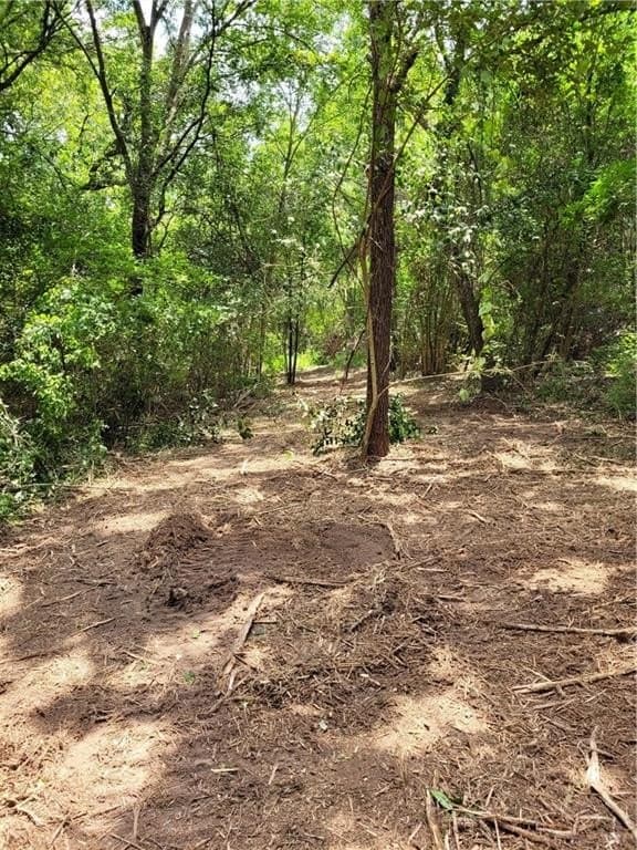 4.6 acres in McLennan County - photo 21