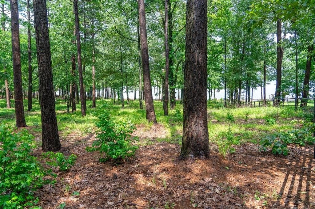 1.66 acres in Franklin County - photo 27