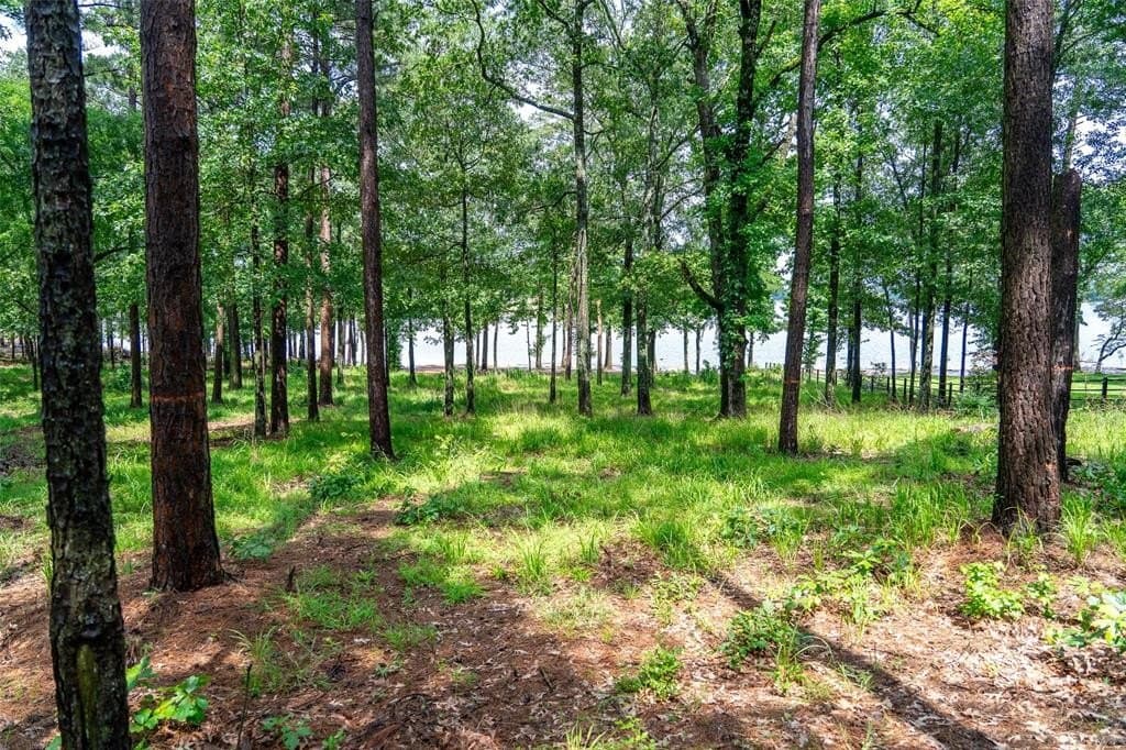 1.66 acres in Franklin County - photo 29