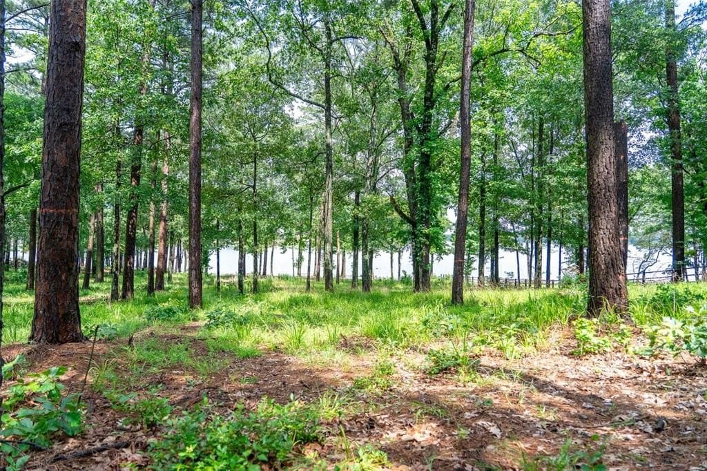 1.66 acres in Franklin County - photo 31