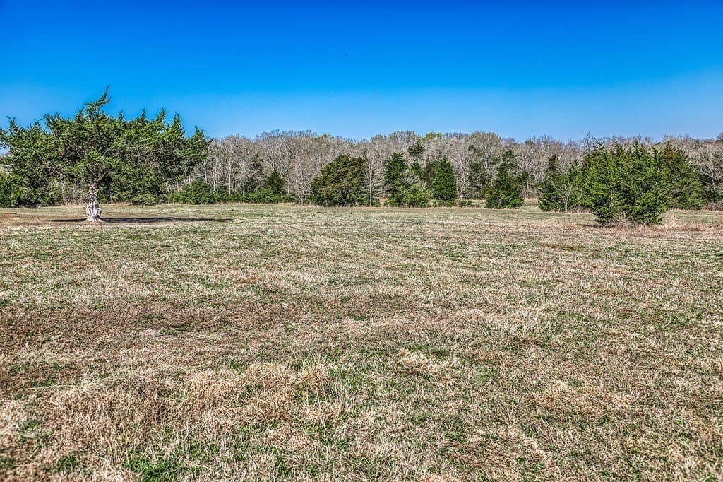 28.47 acres in Austin County - photo 15