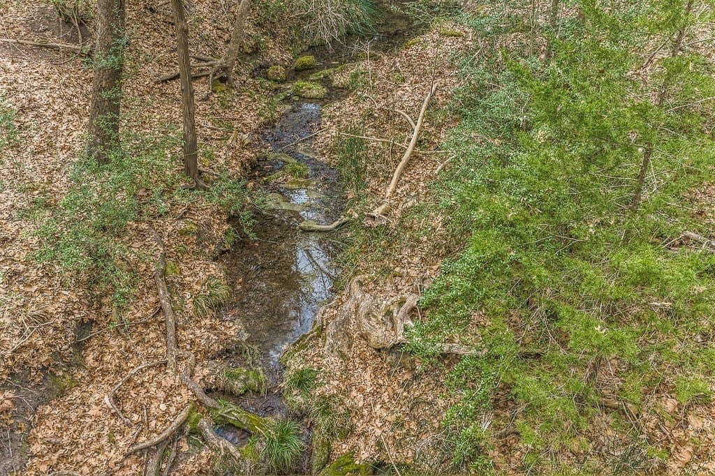 28.47 acres in Austin County - photo 18