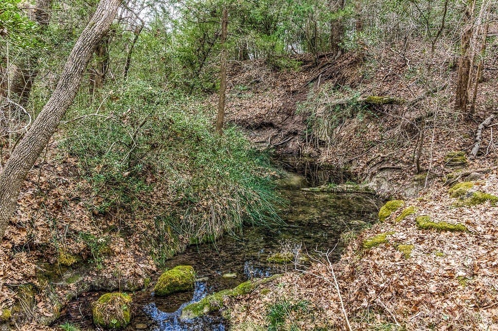 28.47 acres in Austin County - photo 22