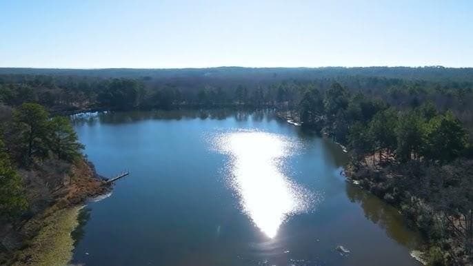 5.01 acres in Leon County - photo 3