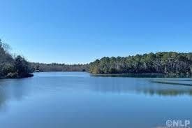 5.01 acres in Leon County - photo 4