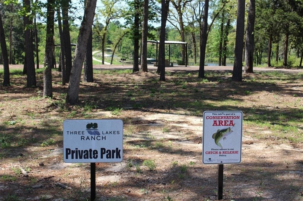 5.01 acres in Leon County - photo 5