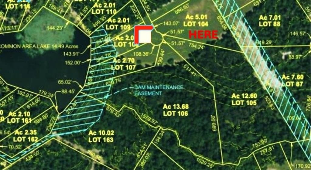 5.01 acres in Leon County - photo 6