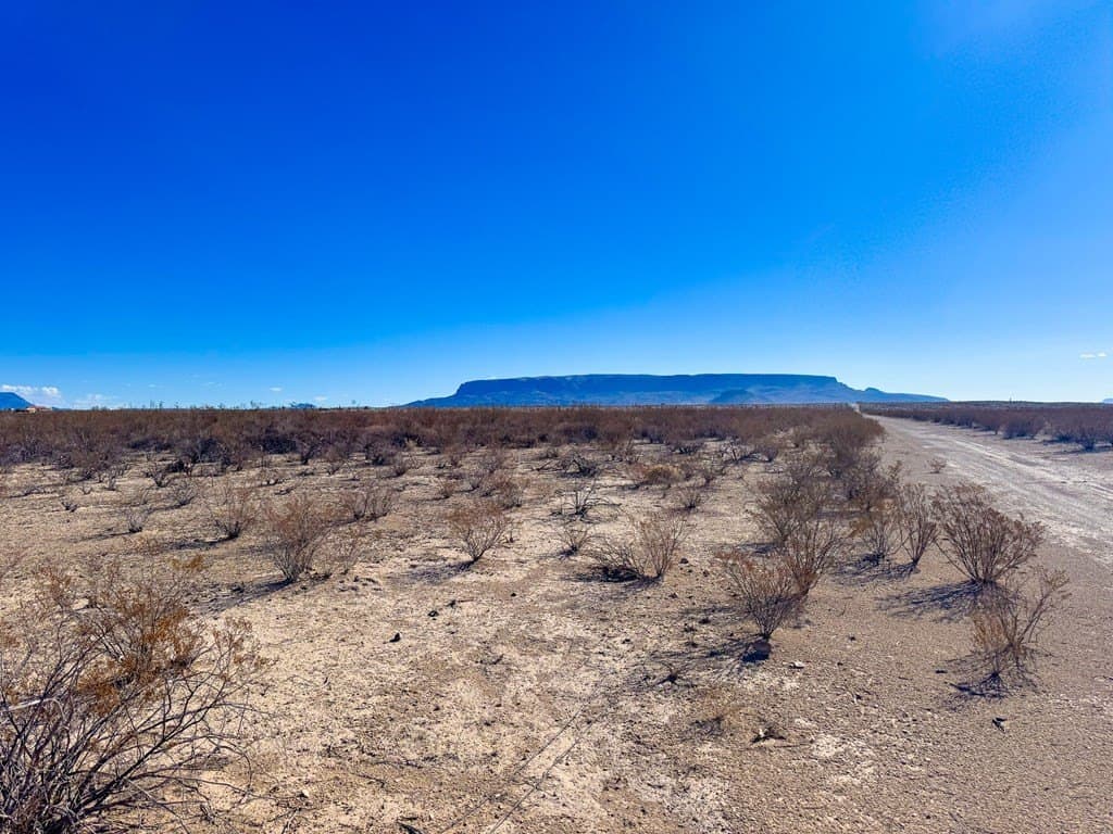 10 acres in Brewster County - photo 5