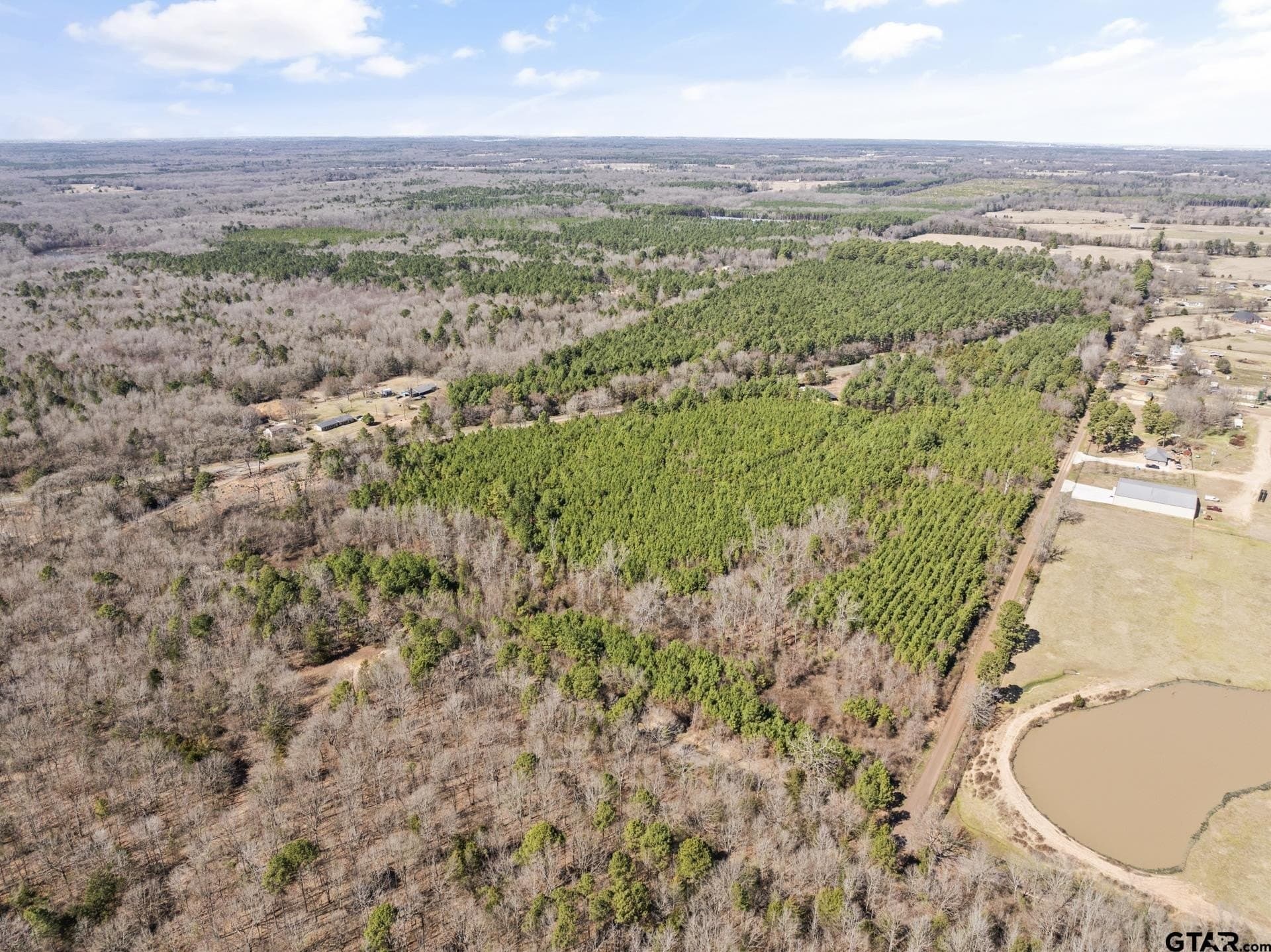 2.36 acres in Camp County - photo 9