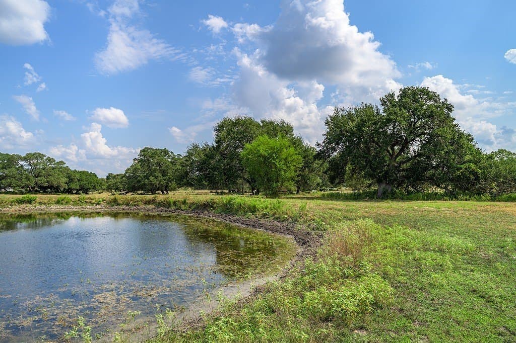 6 acres in Fayette County - photo 4