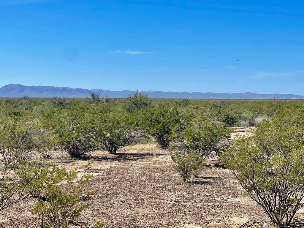 16 acres in Brewster County - photo 9