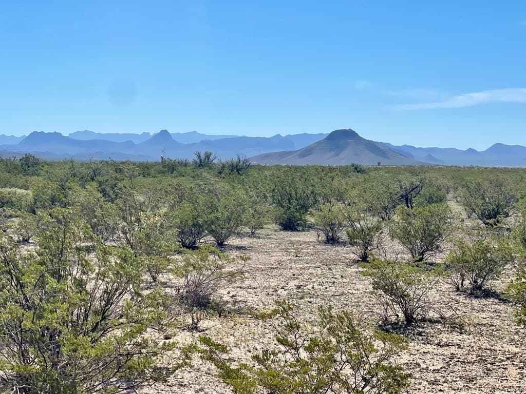 16 acres in Brewster County - photo 11